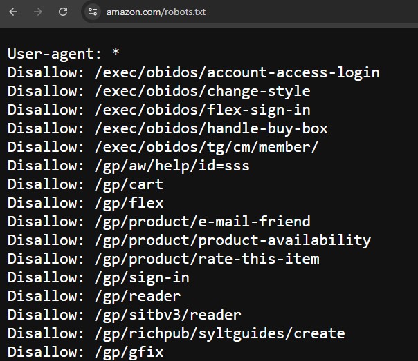 amazons ecommerce robots.txt file on google